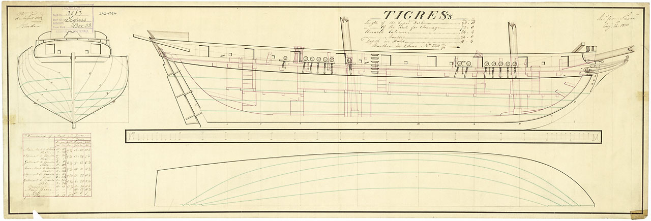 Tigress 1808-1.jpg