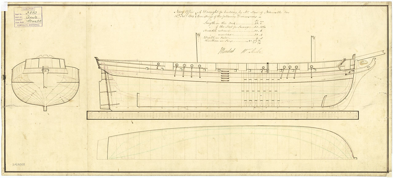 Acute 1804, Bouncer 1804.jpg