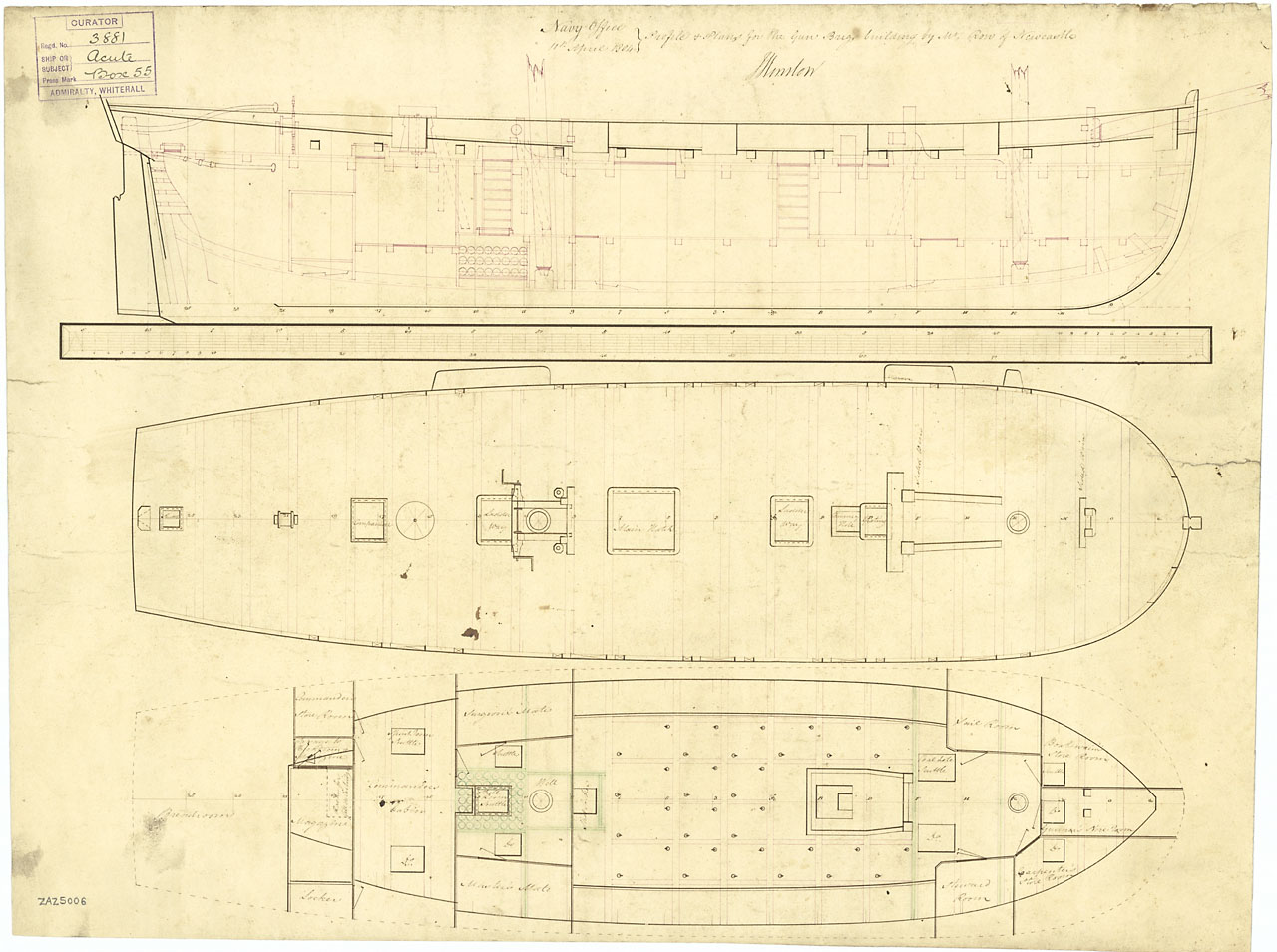 Acute 1804, Bouncer 1804-2.jpg