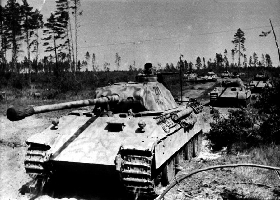 Пантеры 1943 под Орлом.jpg