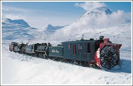 Vilciens-snieglauzis-1.jpg
