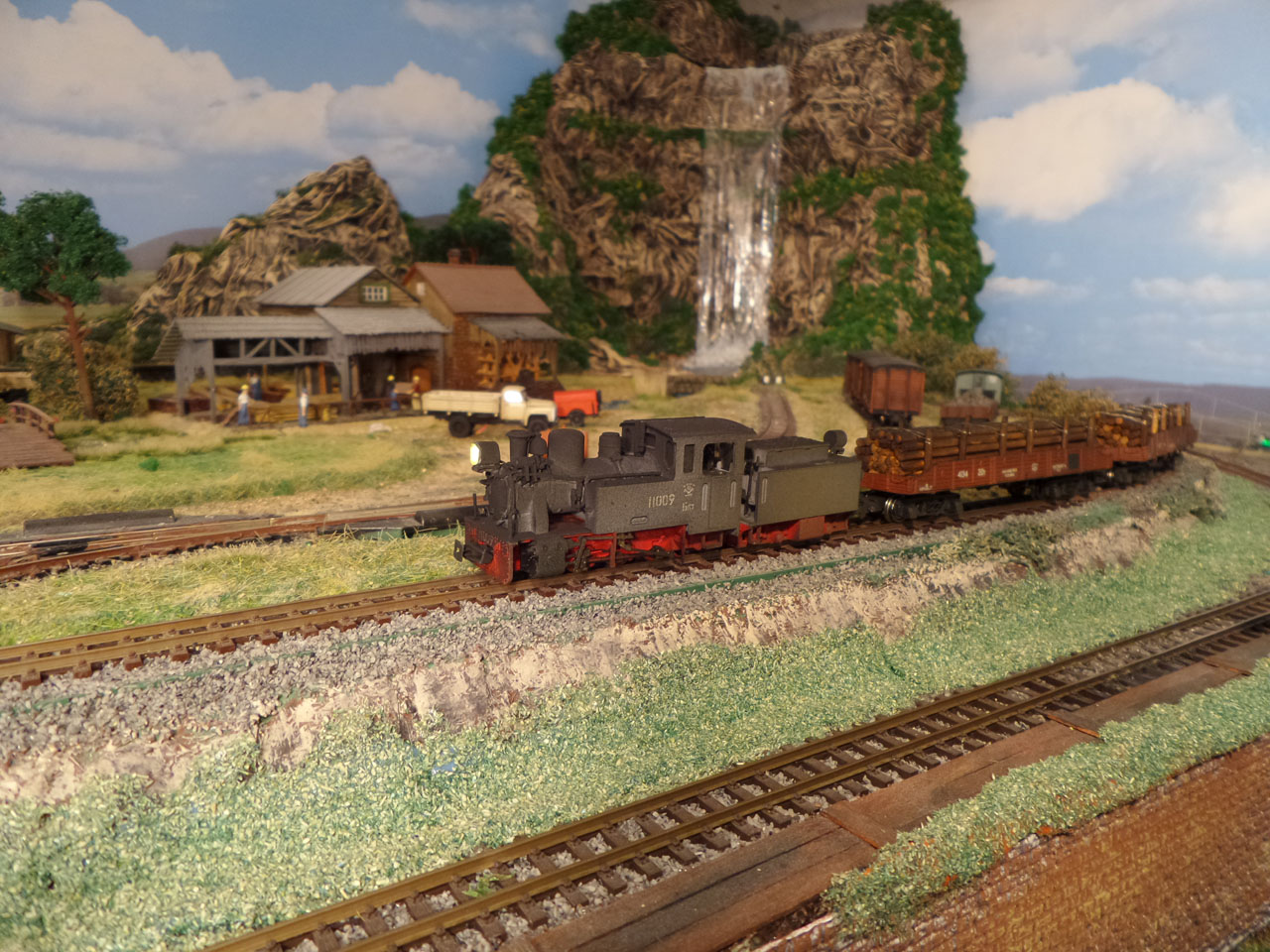 _H0e_old_forest_train_2.jpg